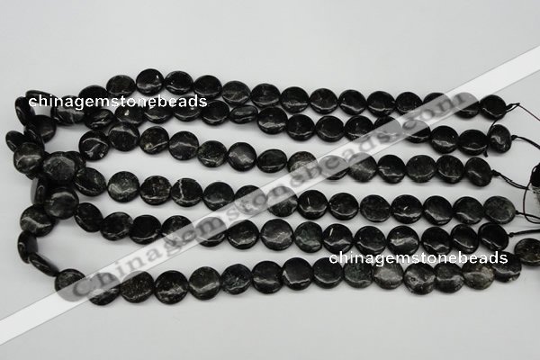 CAE45 15.5 inches 12mm flat round astrophyllite beads wholesale