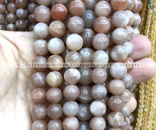 CMS2357 15 inches 10mm round moonstone beads wholesale