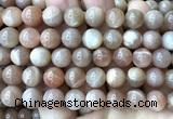 CMS2357 15 inches 10mm round moonstone beads wholesale