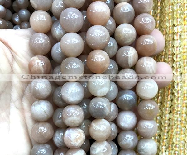 CMS2358 15 inches 12mm round moonstone beads wholesale