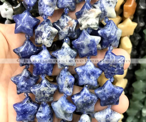 CRG101 15 inches 20mm star sodalite gemstone beads wholesale