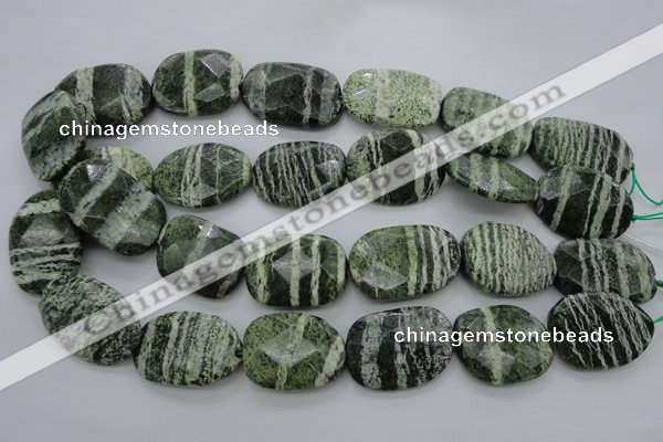 CSJ127 15.5 inches 20*30mm faceted freeform green silver line jasper beads