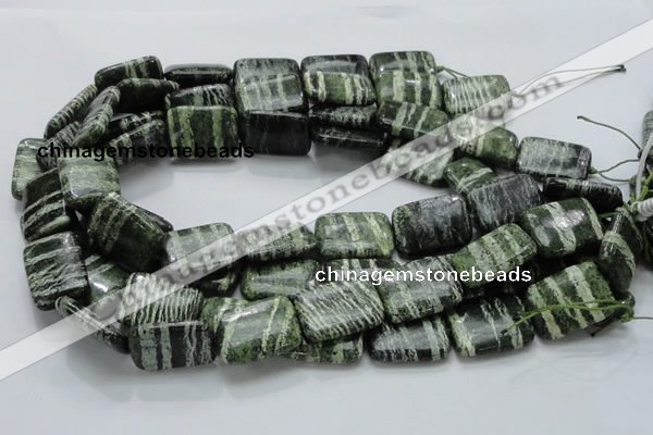 CSJ38 15.5 inches 18*25mm rectangle green silver line jasper beads