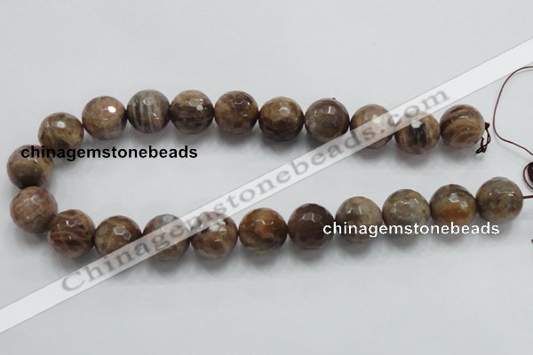 CSS101 15.5 inches 18mm faceted round natural sunstone beads wholesale